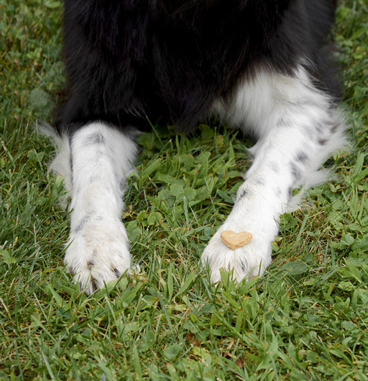Gâterie naturelle - Saveur de bacon