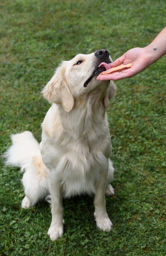 Gâterie naturelle à un ingrédient - Patate douce